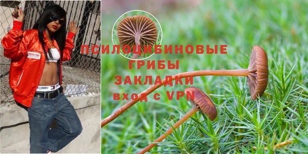 мяу мяу мука Волоколамск