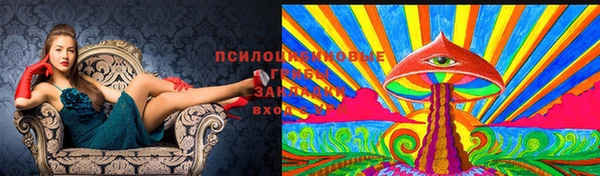 марки lsd Волосово