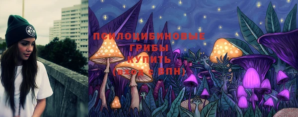 ешки Володарск