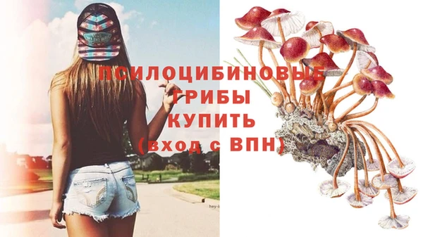 ешки Володарск